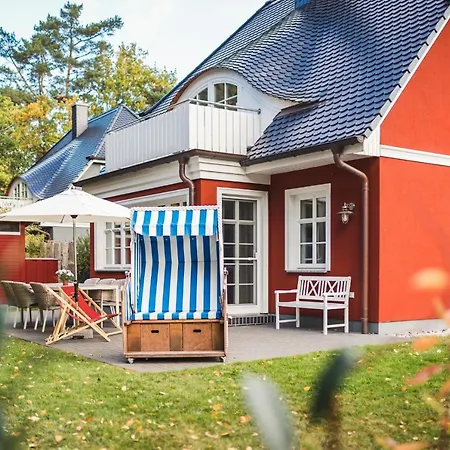 Pinne * プレロー