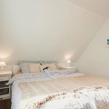 Pinne * プレロー